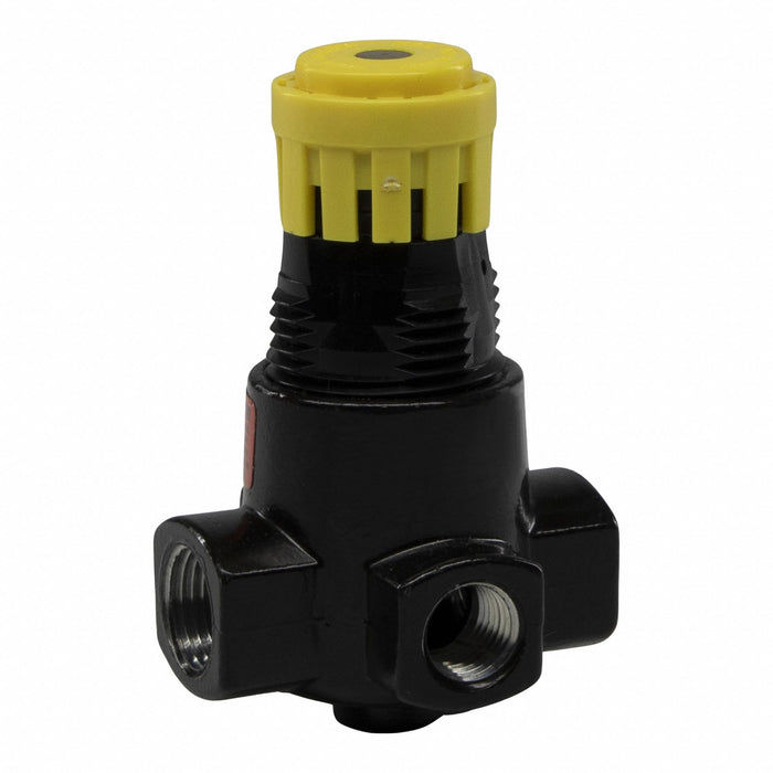 Regulator Air Inlet 3/8 NPT 300 psig