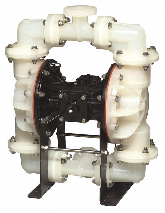 Dbl DphrmPmp FNPT PTFE/PP 3/4in 100gpm