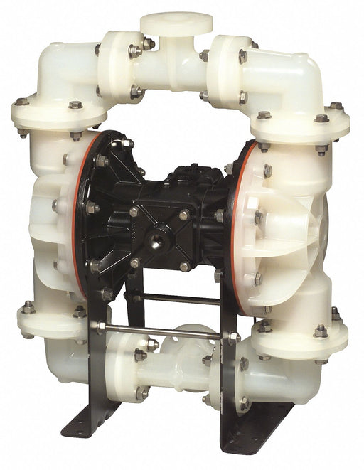 Dbl DphrmPmp FNPT TPV/PP 3/4in 100gpm