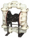 Dbl DphrmPmp FNPT TPV/PP 3/4in 100gpm