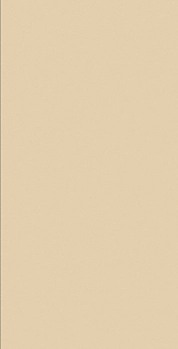 Partition Panel Sand 58 in W