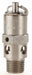 Safety Valve Hard Seat 1/4In 225 PSI SS