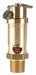 Safety Valve Soft Seat 1/2 In 75 PSI