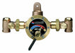 Steam and Water Mixing Valve Brass