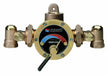 Steam and Water Mixing Valve Brass