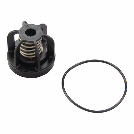 Repair Kit Watts Series 009 M3 3/4 In