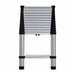 Telescoping Ladder Silver Aluminum