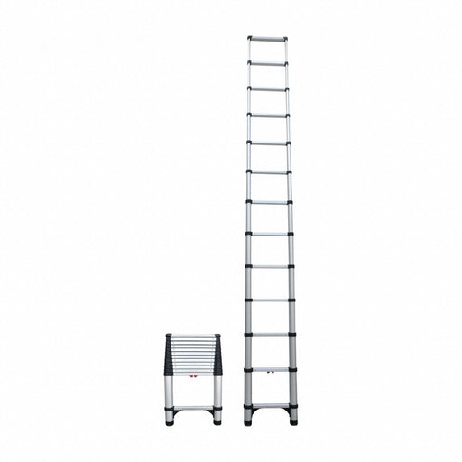Telescoping Ladder Silver Aluminum