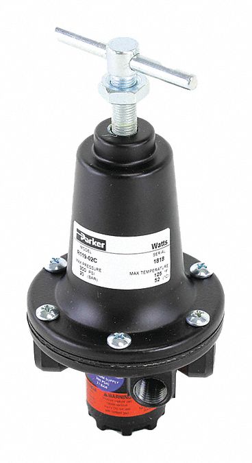 Regulator 1/4 0 to 125 psi Out Steam