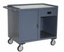 Mobile Cabinet Bench Steel 42 W 27 D