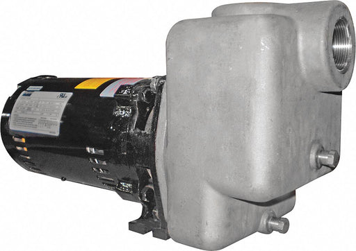 Self Priming Pump 3/4 HP 316 SS