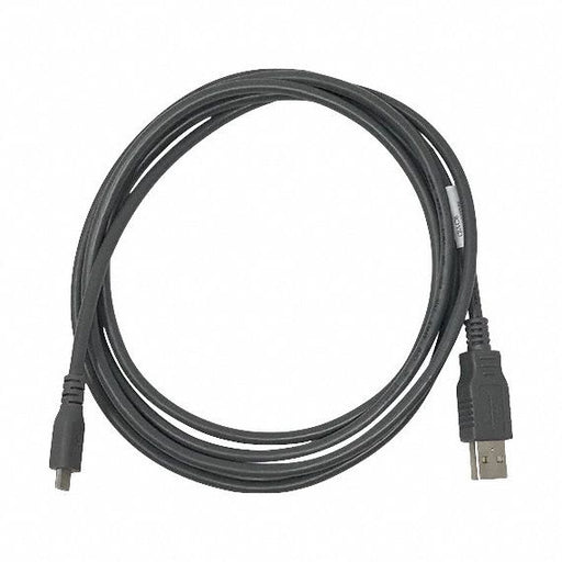 Cable Gray 6 ft L