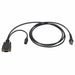 Cable Black 6 ft L