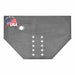 Hitch Plate 34 1/2 in L