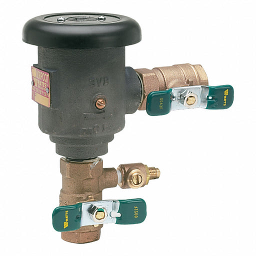 Anti-Siphon Backflow Preventer Watts 008