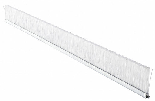 Strip Brush 36 In L Overall Trim 2 In