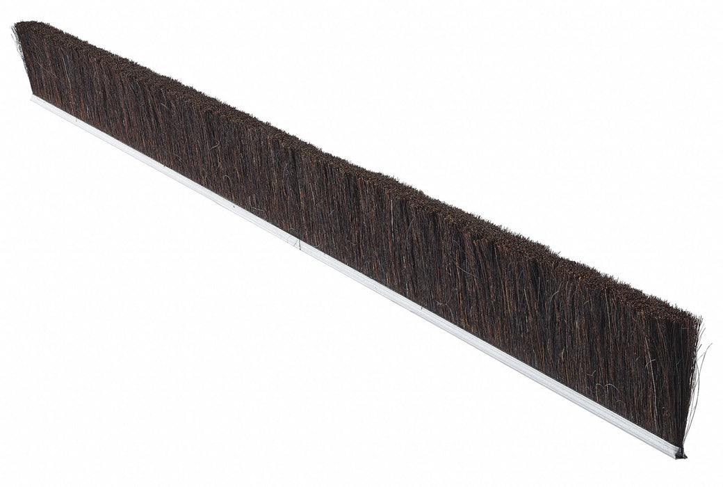 Strip Brush 36 In L Overall Trim 1 In
