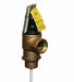 T and P Relief Valve FNPT 1-1/2 In Inlet