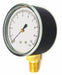 G3997 Press Gauge Low Press Diaphragm 2-1/2 In