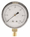 G3997 Press Gauge Low Press Diaphragm 2-1/2 In