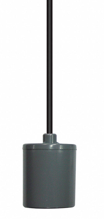 Float Switch 15 ft PVC 120V AC