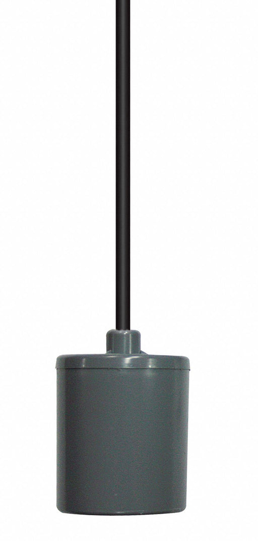 Float Switch 15 ft PVC 120V AC