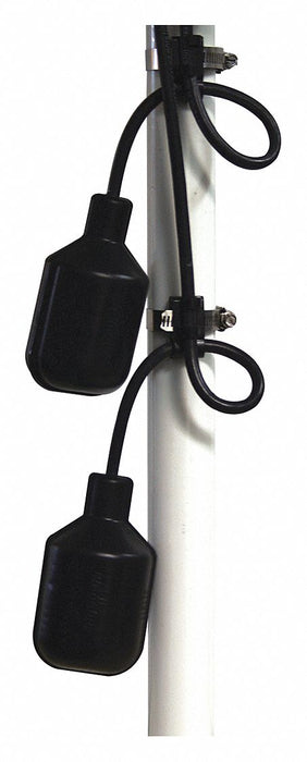 Double Float Master 20 ft Float No Plug