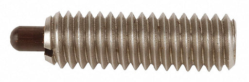 Spring Plunger 3/8 -16 Stainless Steel