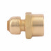 Strt Brass Push-Fit1/4in FNPT1/2in
