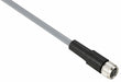 Cordset 16.4 ft Gray 250VAC/300VDC