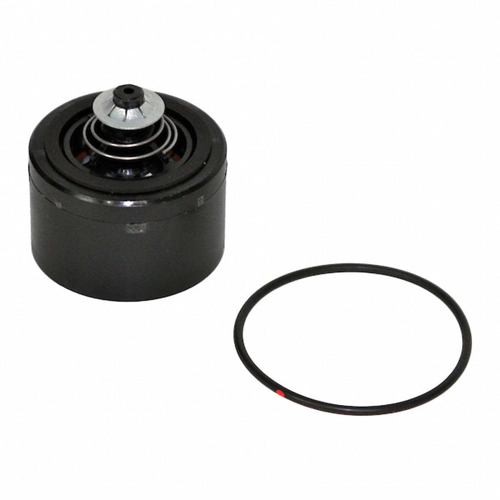 Check Valve Assembly