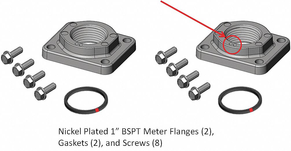 Meter/Flange Kit 1 In BSPT Nickel