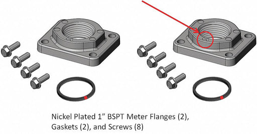 Meter/Flange Kit 1 In BSPT Nickel