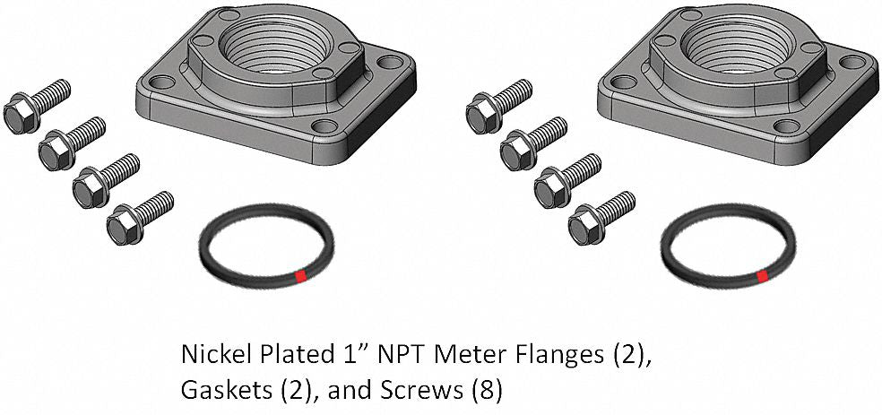 Meter/Flange Kit 1 In NPT Nickel