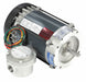 Motor 1/3 HP 1725 rpm 56C 115/208-230V