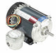 Motor 1/3 HP 1725 rpm 56 115/208-230V