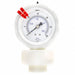 CompoundGaugewithDiaphragmSeal 30psi 1PK