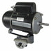 Motor Assembly