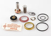 Valve Rebuild Kit With Instructions