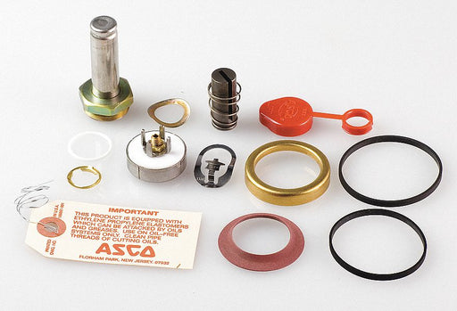 Valve Rebuild Kit With Instructions