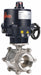 Electronic Ball Valve SS 3 In.