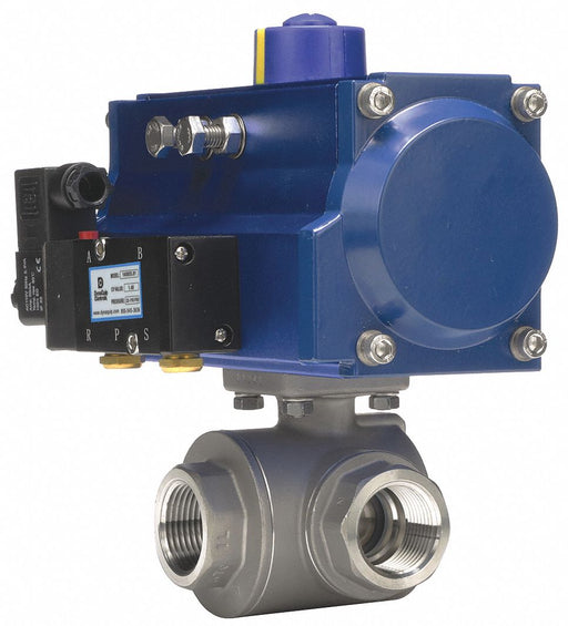 Ball Valve 1 In NPT Double Acting SS