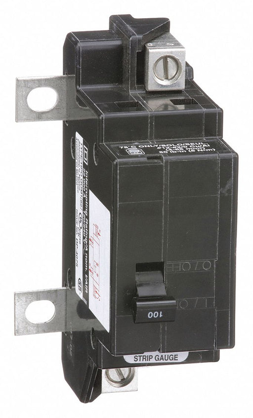 Circuit Breaker 100A Bolt On 120/240V 2P