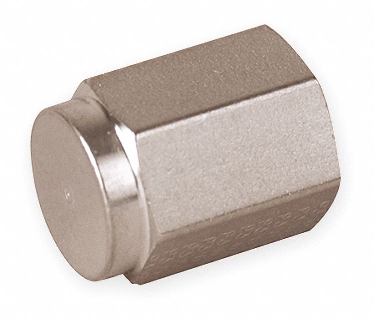 Hex Head Cap 316L SS 1/8 in Female NPT