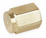 Hex Head Cap Bright Brass 1/8 in FNPT