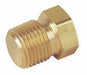 Hex Head Plug Bright Brass 3/8 in