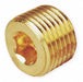 Hollow Hex Head Plug Bright Brass 1/8 in