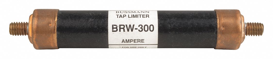 Fast Acting Midget Fuse Amps 300 BRW