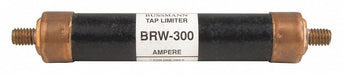Fast Acting Midget Fuse Amps 300 BRW