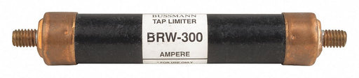 Fast Acting Midget Fuse Amps 300 BRW